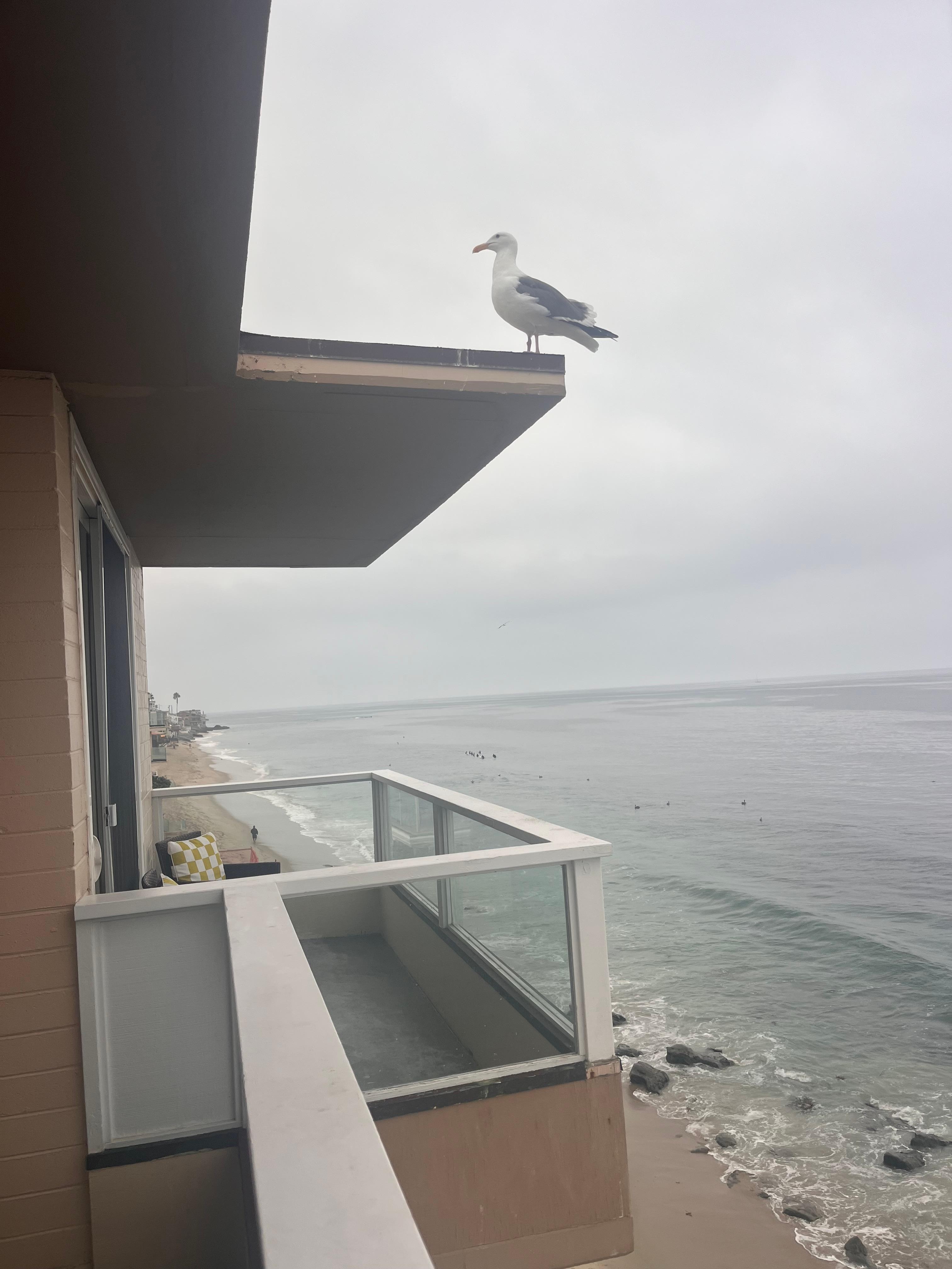 Beach front property