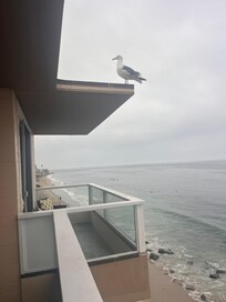 Beach front property