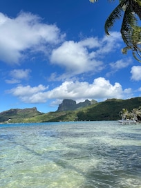 We kayaked about a 200 meter away towards the right from the docks⊠a shallow lagoon with stunning views.