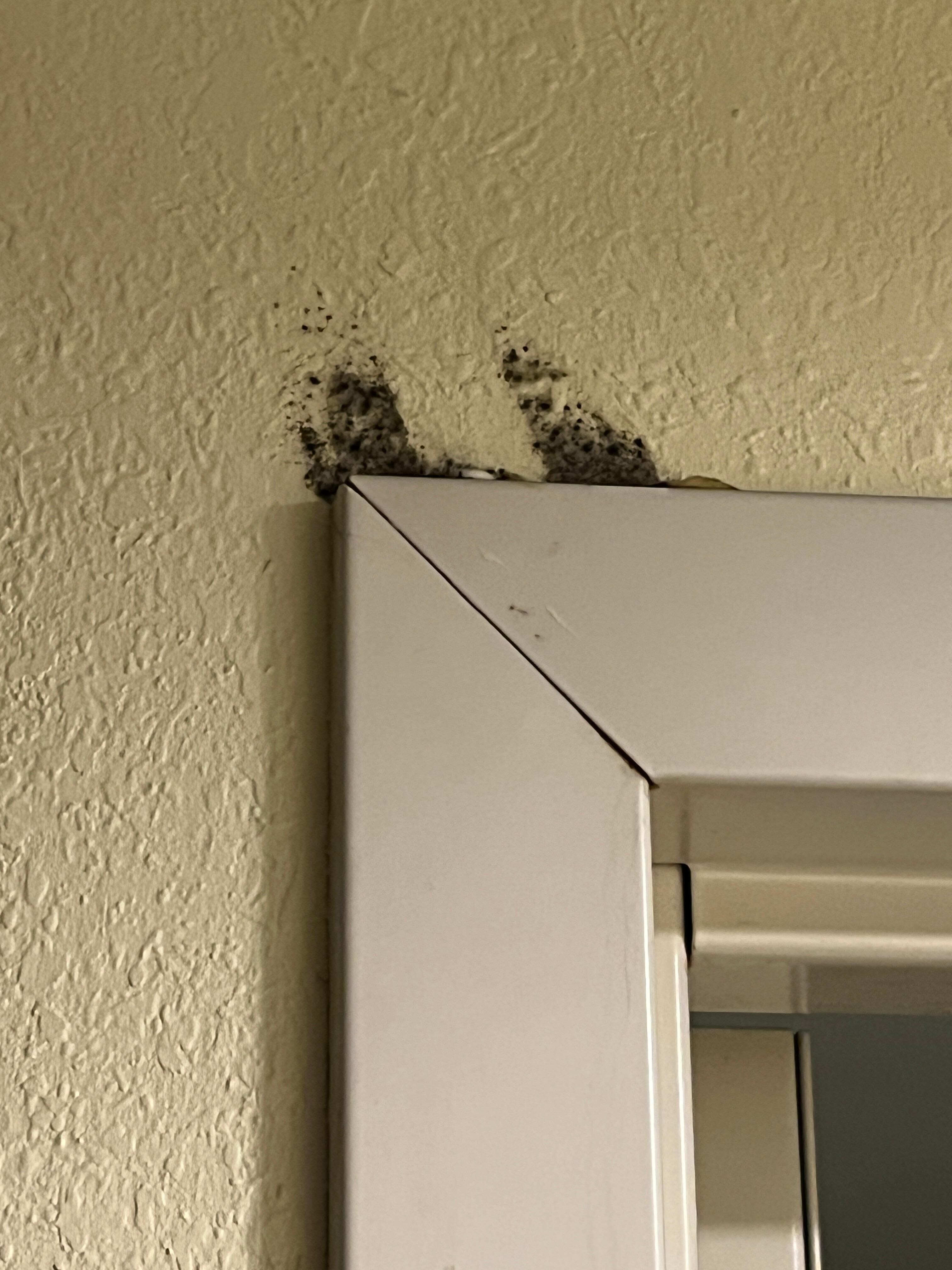 Mold above the bathroom door