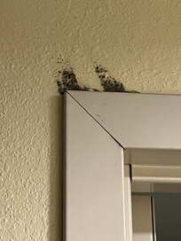 Mold above the bathroom door