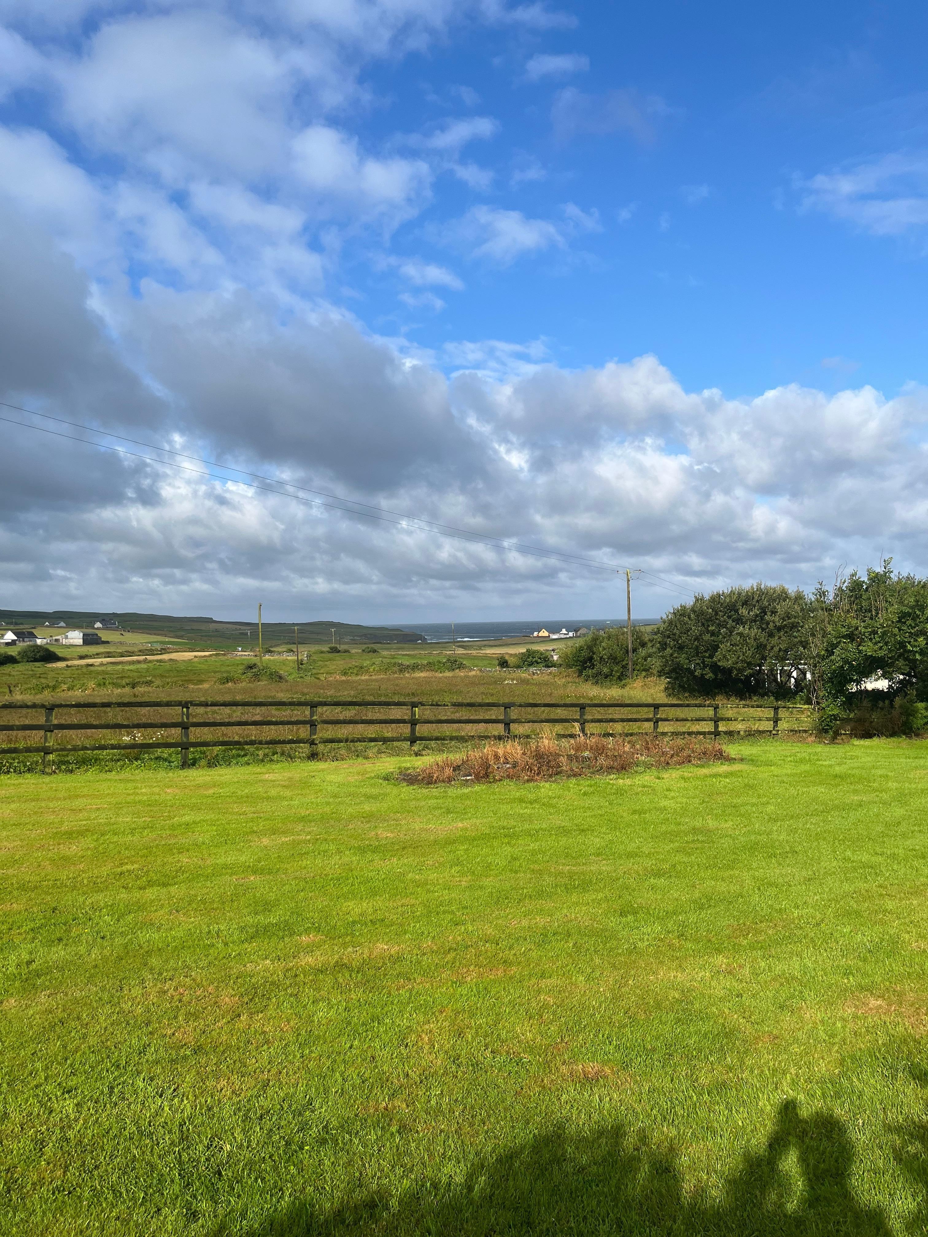 View from the house! 