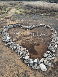 On the trail at the beach on our morning run