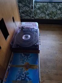 Suite record player