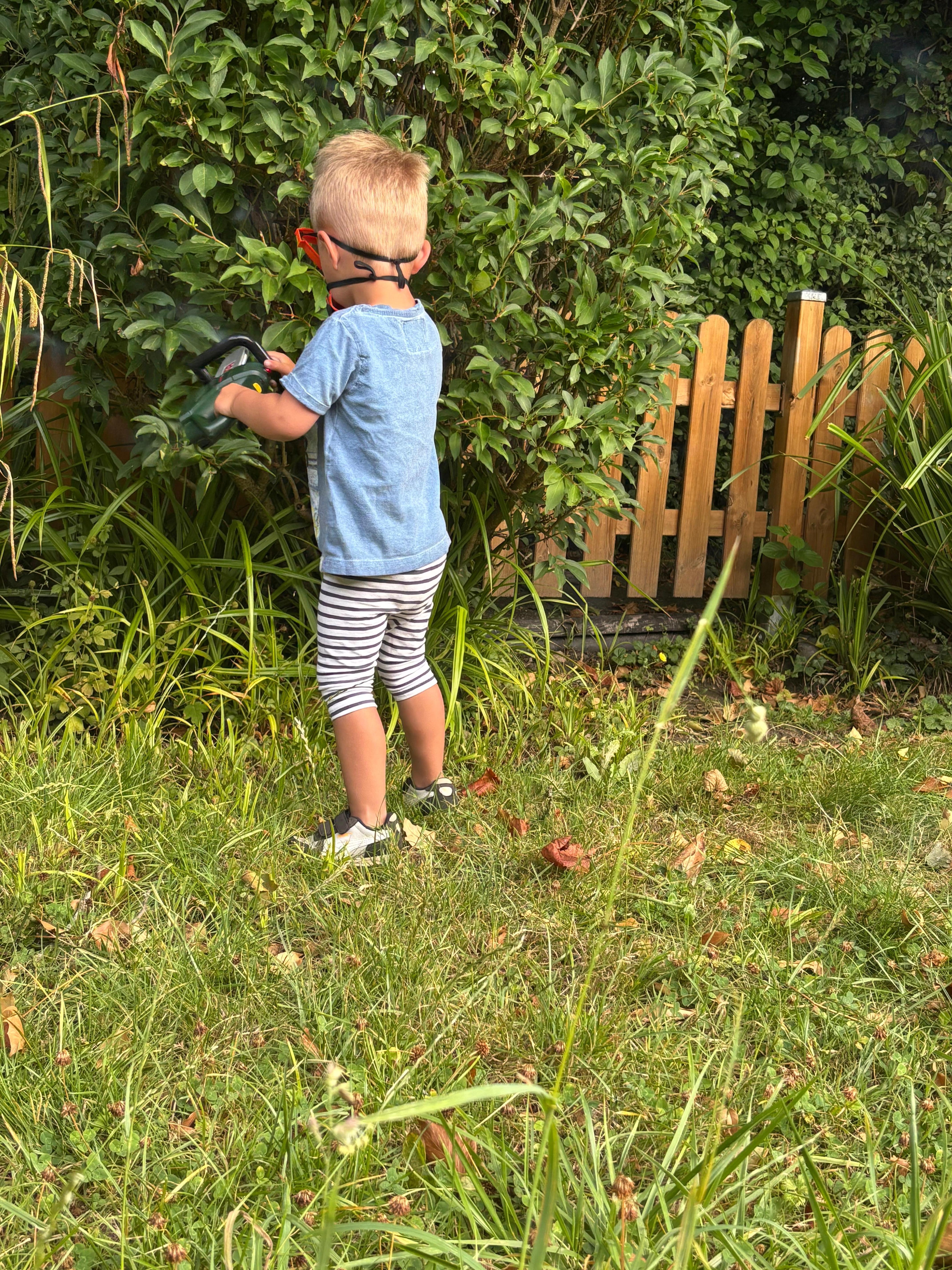 Hier erledigt mein Sohn die Gartenarbeit 🤣
