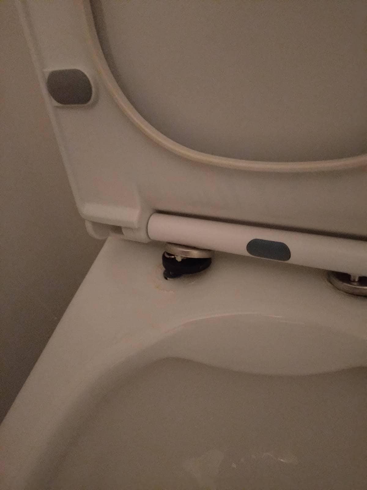 loose and wiggly toilet seat