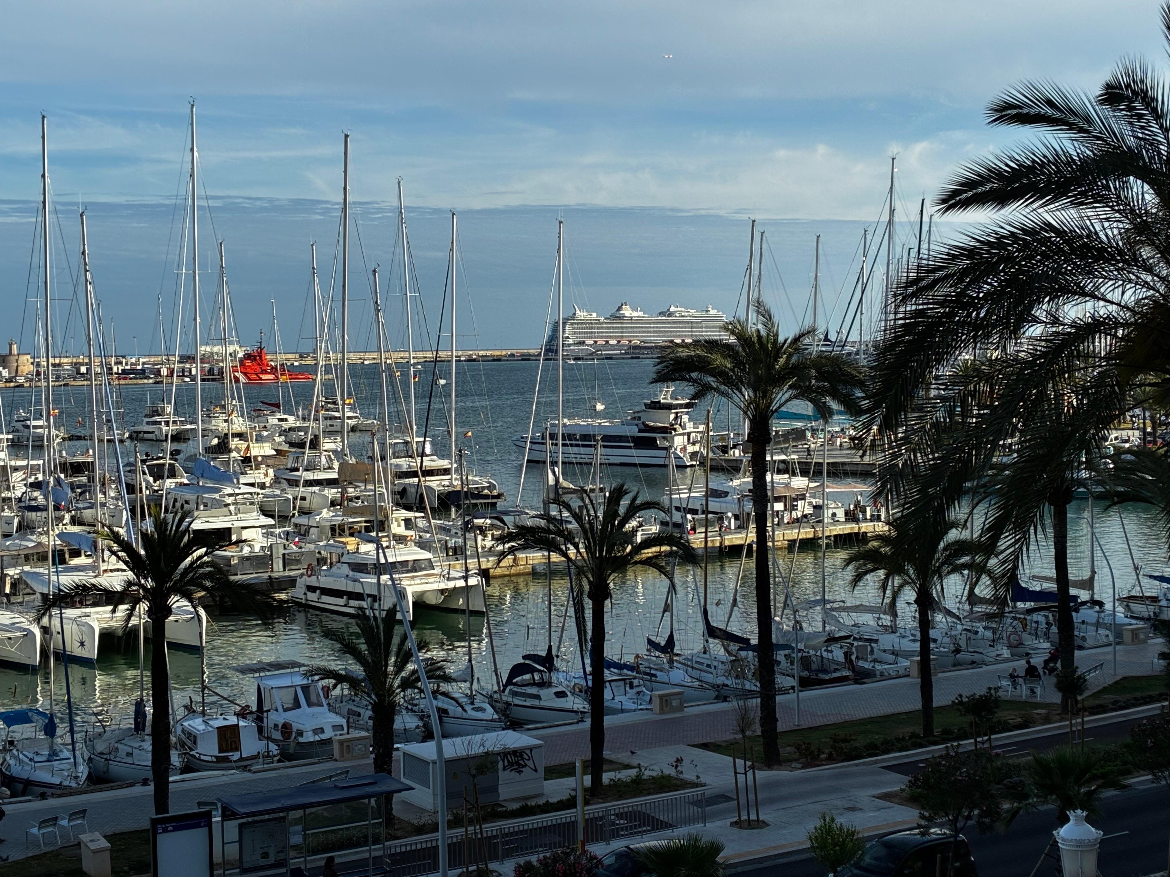 From my balcony 
