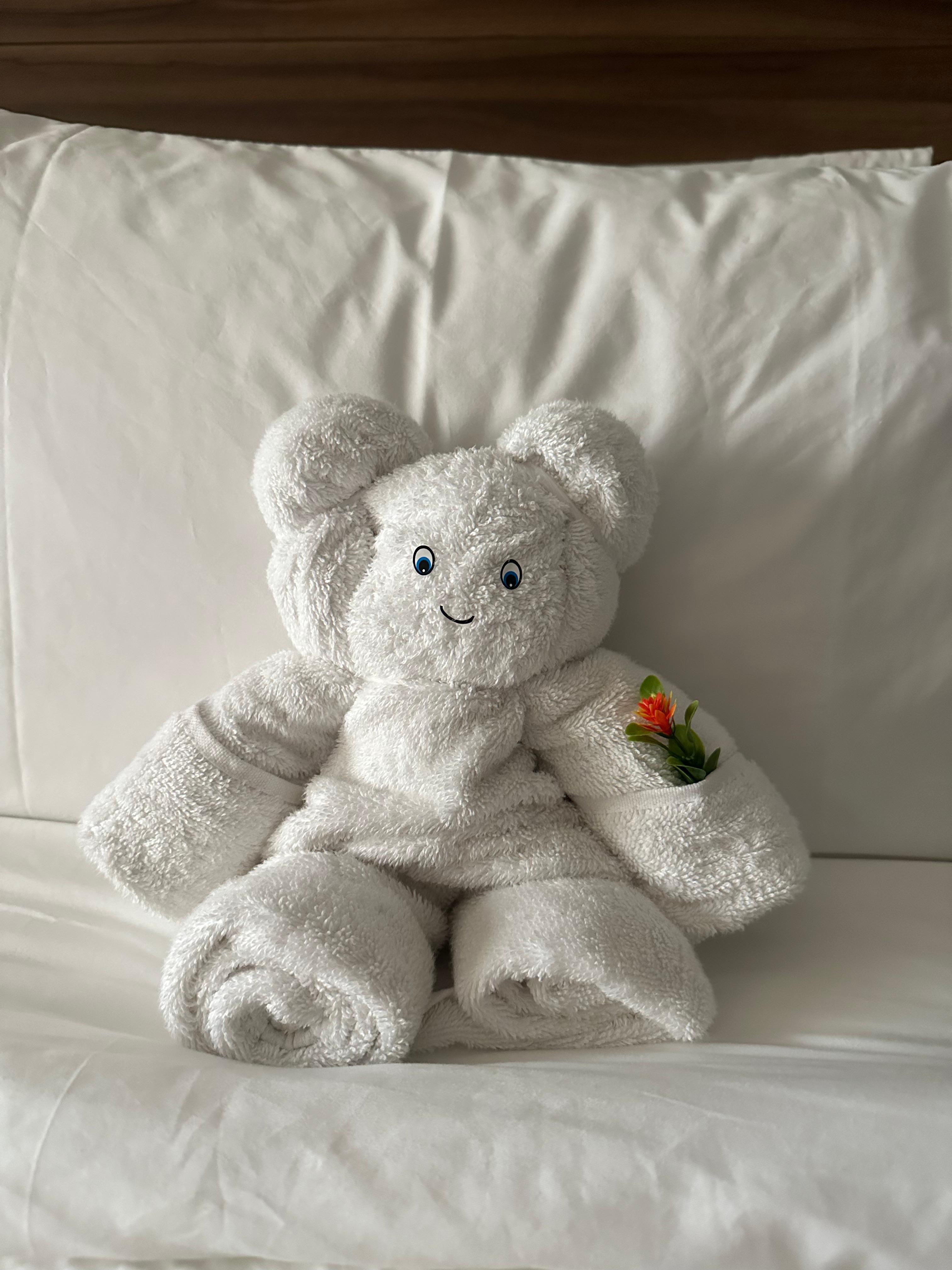 Cute little hand towel animas housekeeping left every day