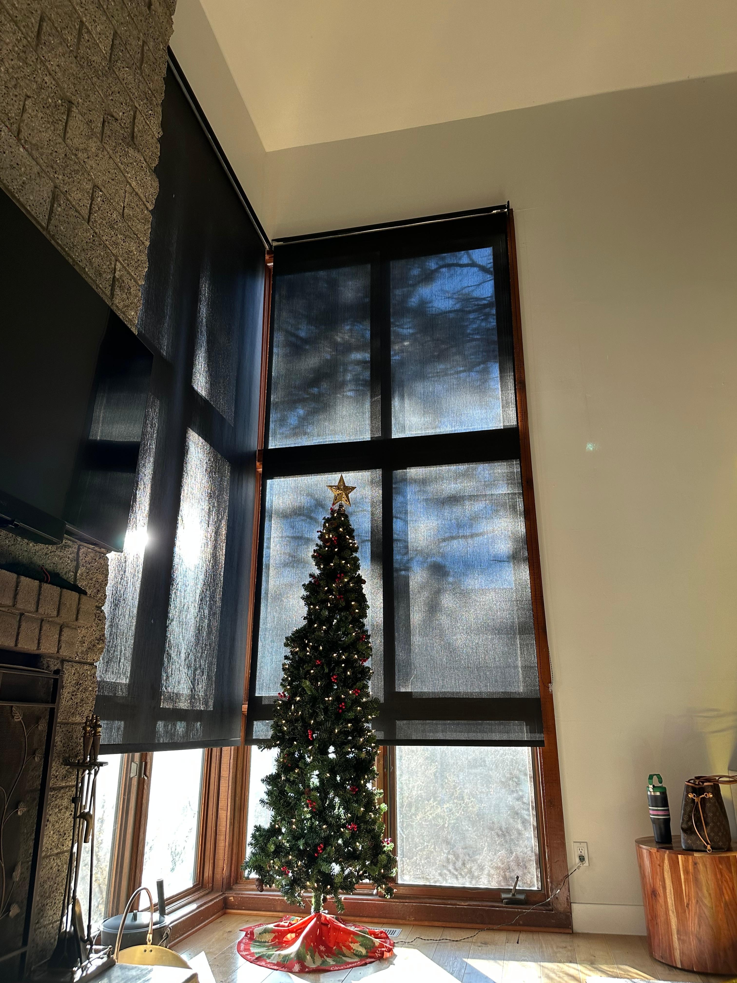 Happy little Christmas tree was a fun surprise in the living room!