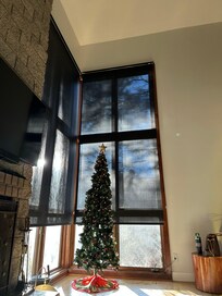 Happy little Christmas tree was a fun surprise in the living room!