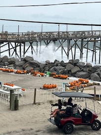 Pumpkin patch at the pier