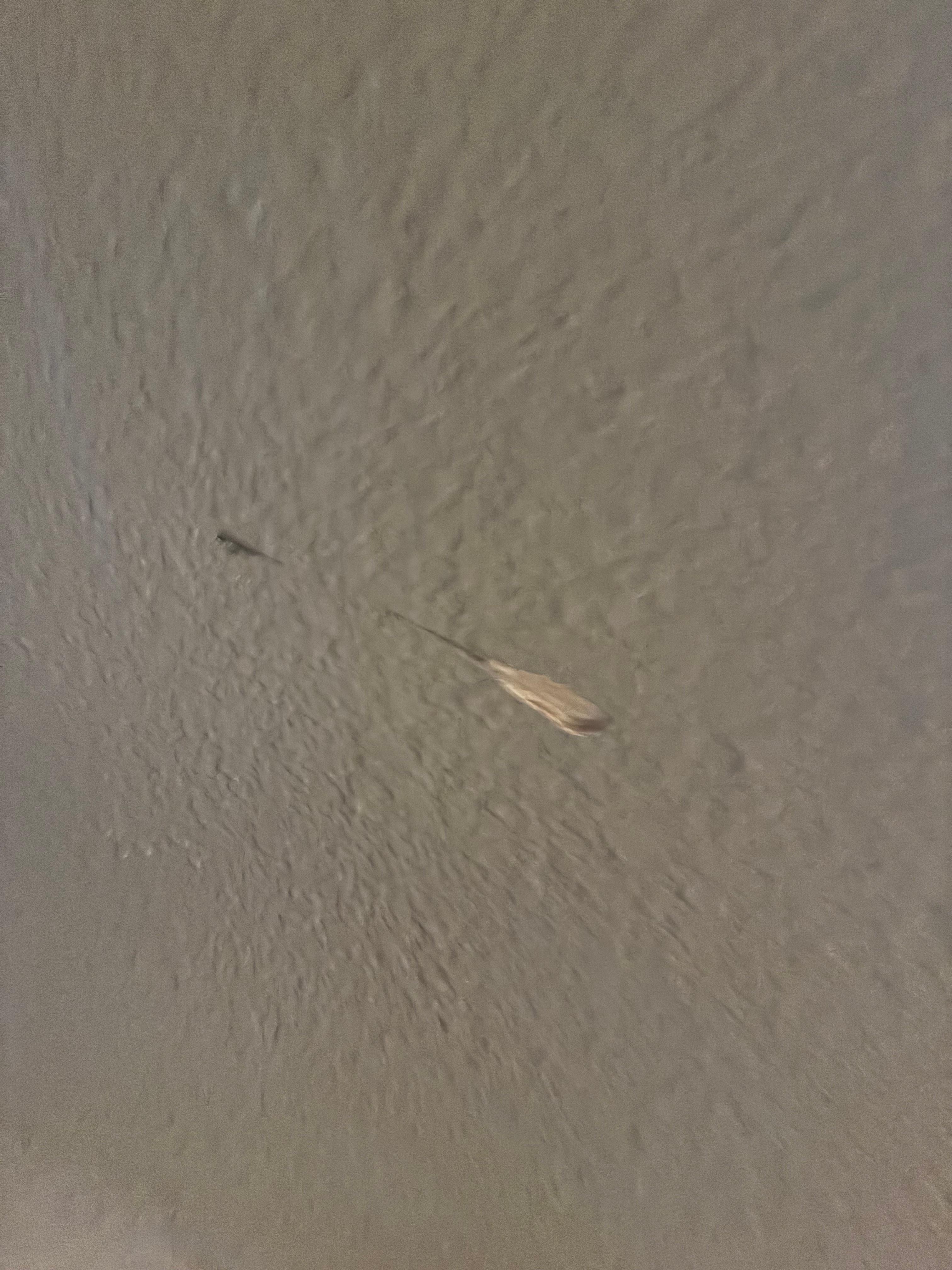 Rooms is like horrible