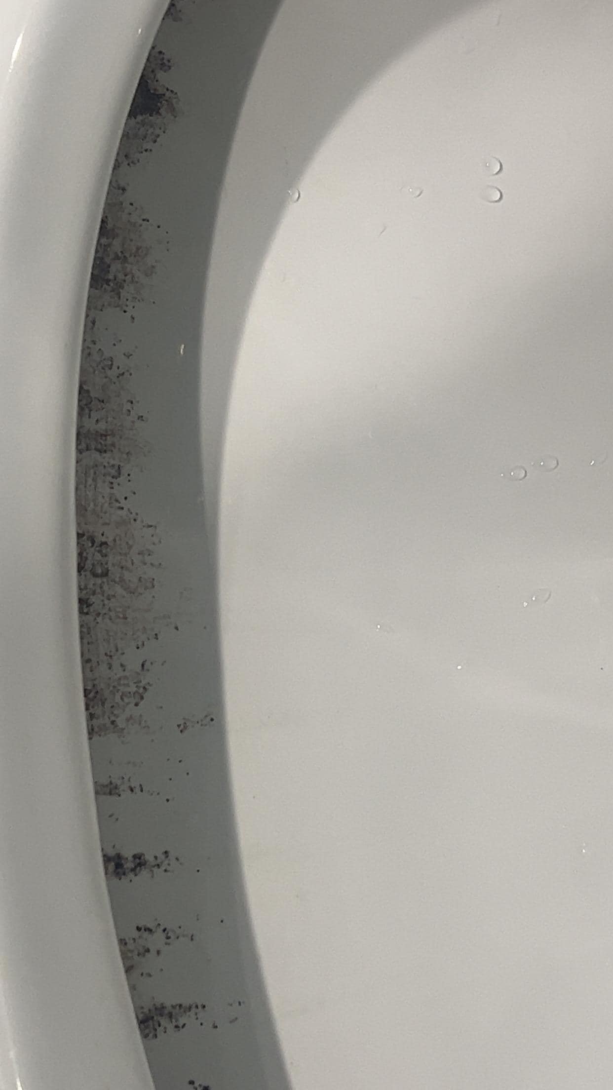 Mold in toilet 