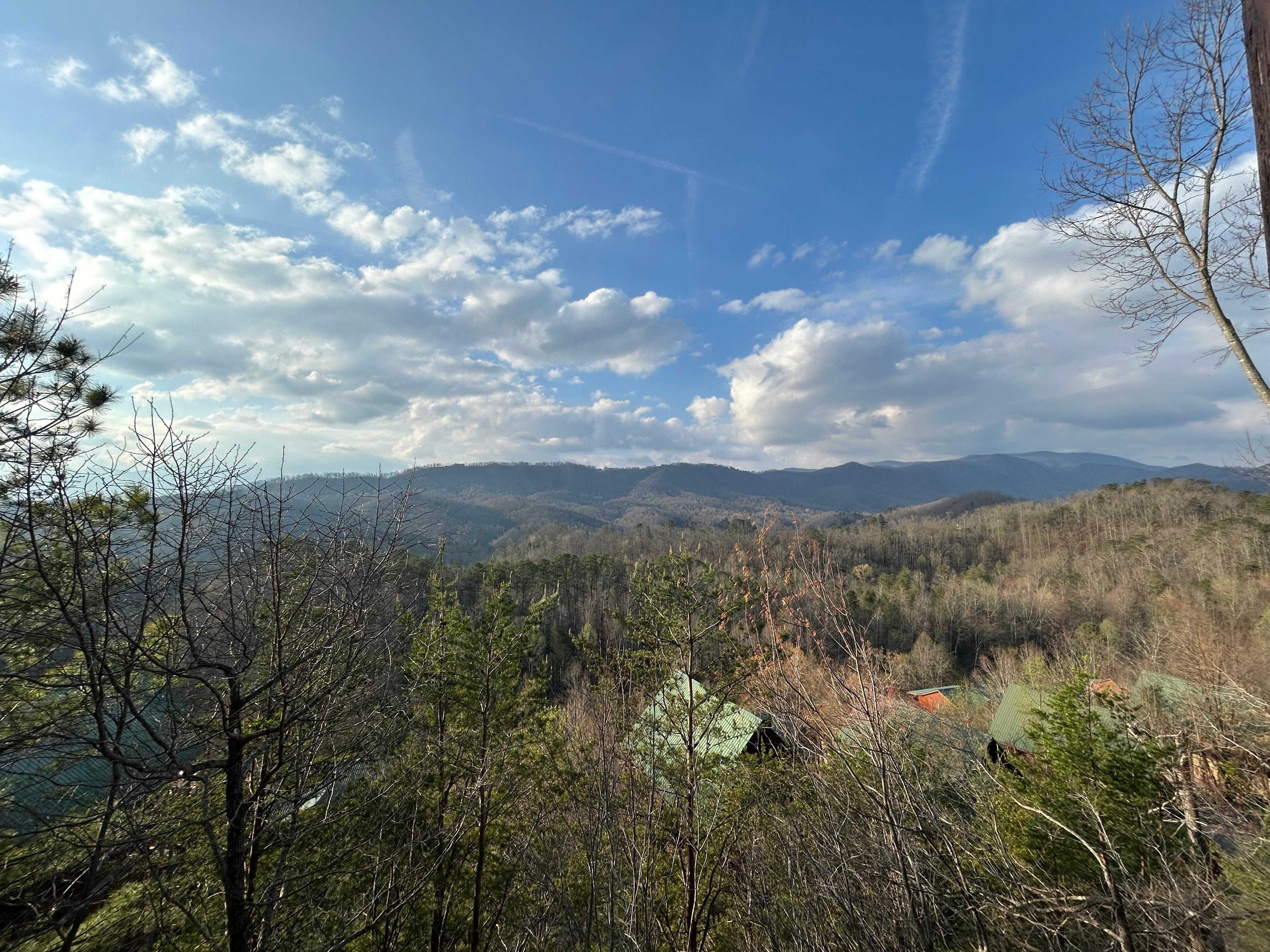 Late morning view from deck. 