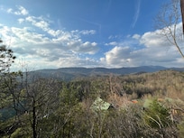 Late morning view from deck.
