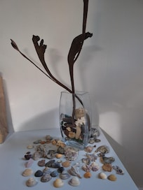 Inside the kitchen, shells & treasures from the local beach