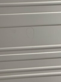 Hairs in shower