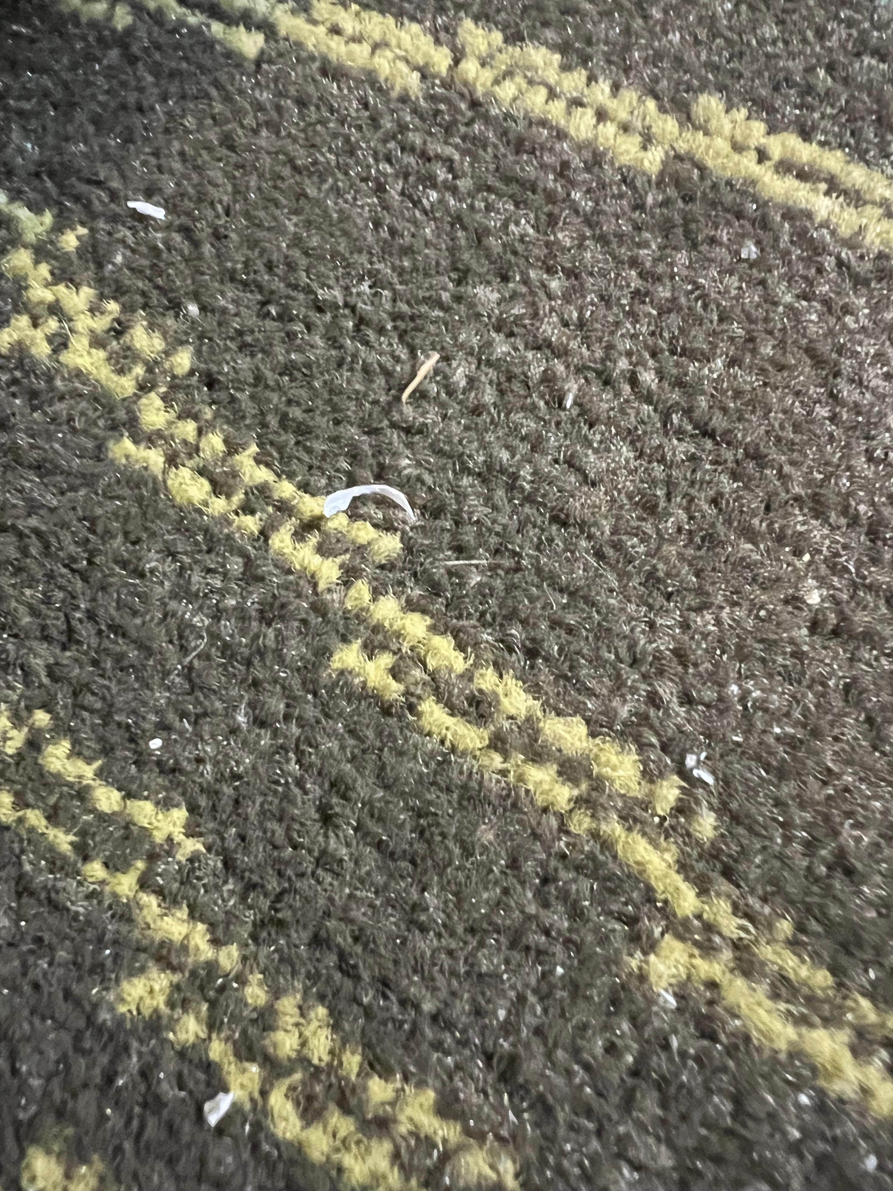 Fingernail clippings on the floor between the beds