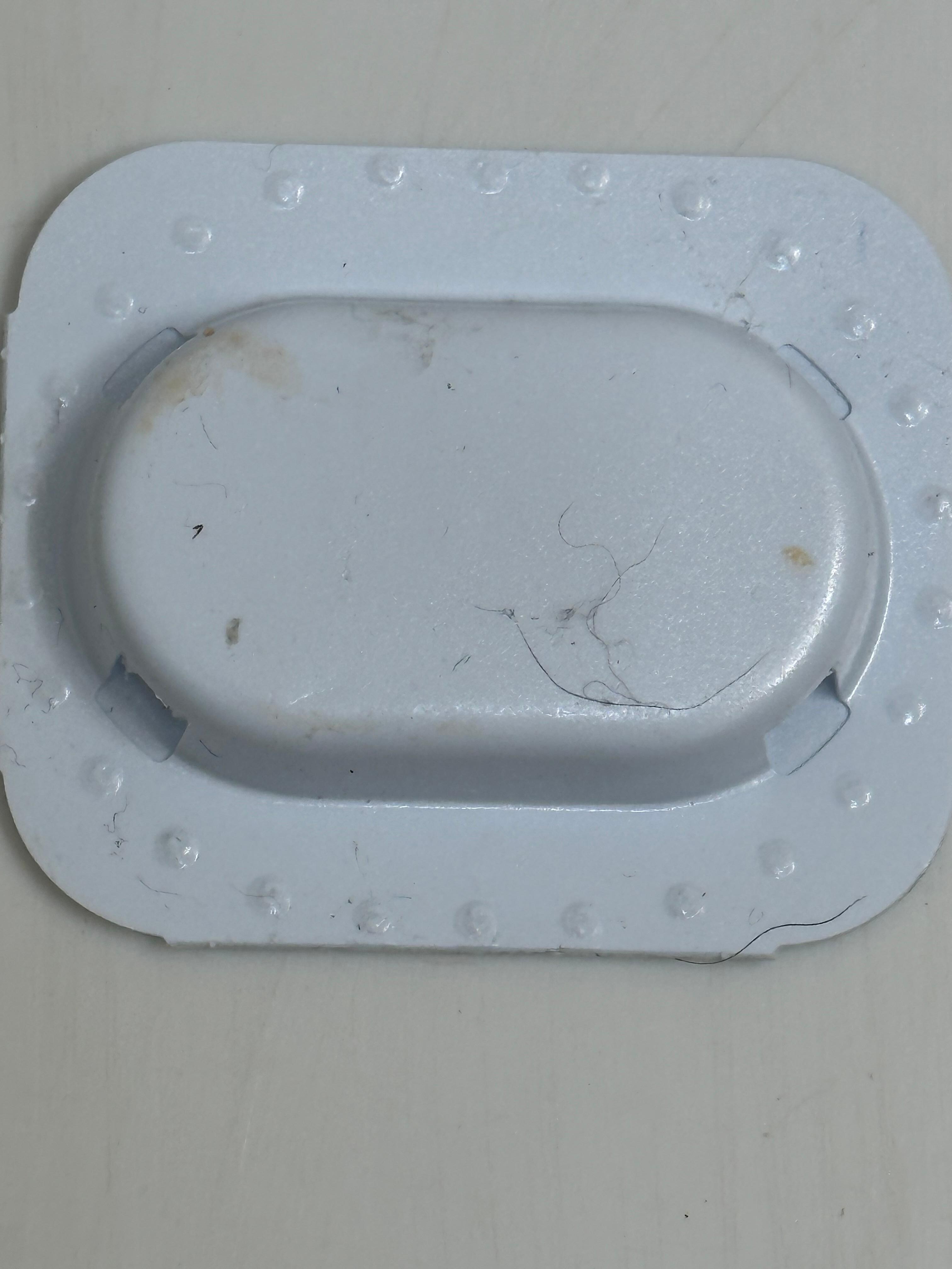 Raid ant trap 