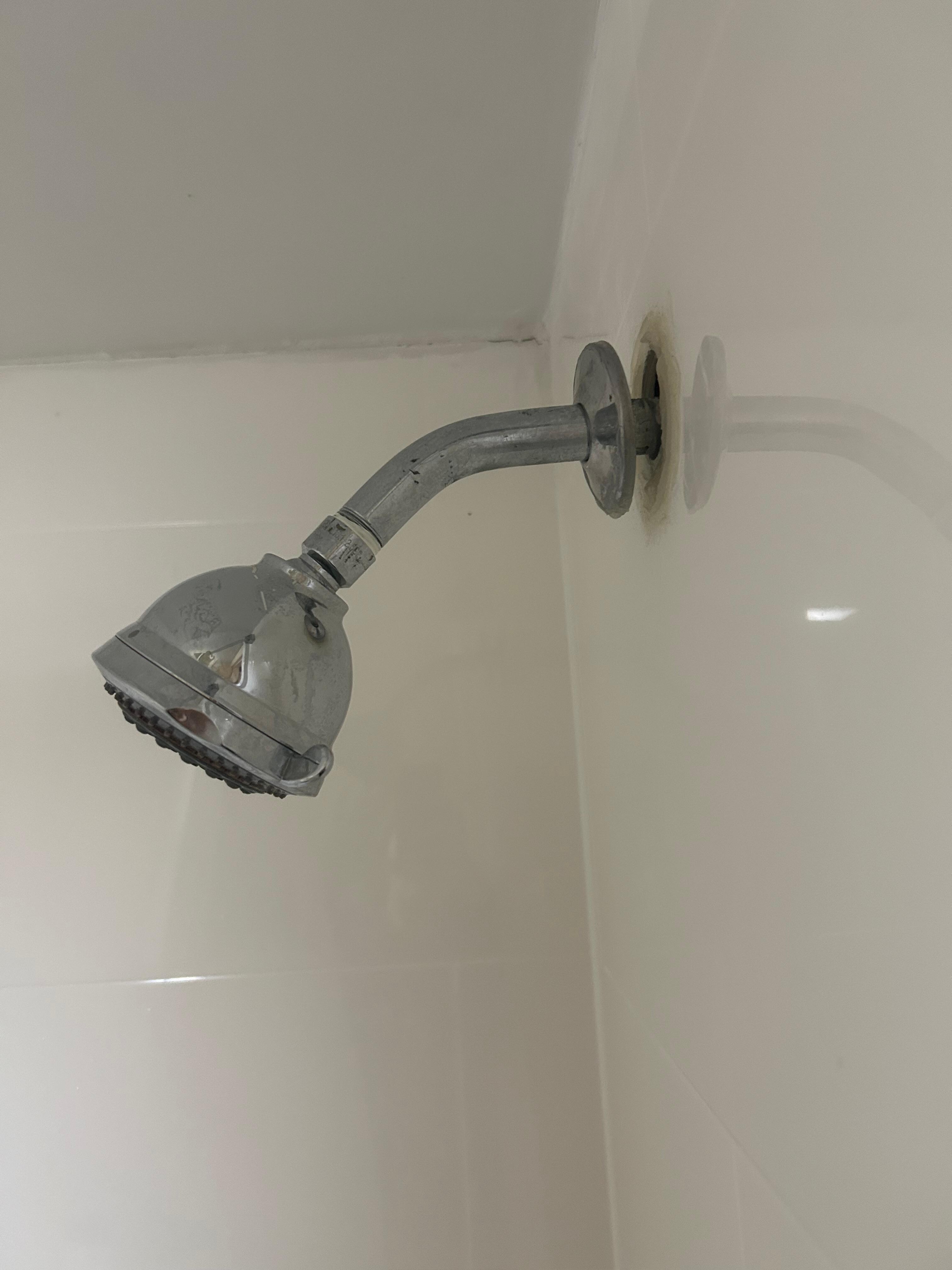 Shower head low and not fixed to wall. Bathroom door didn’t shut 