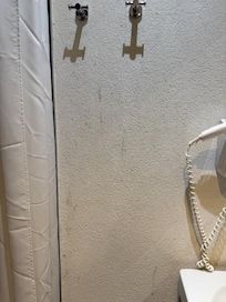 Mold/Mildew On Walls
