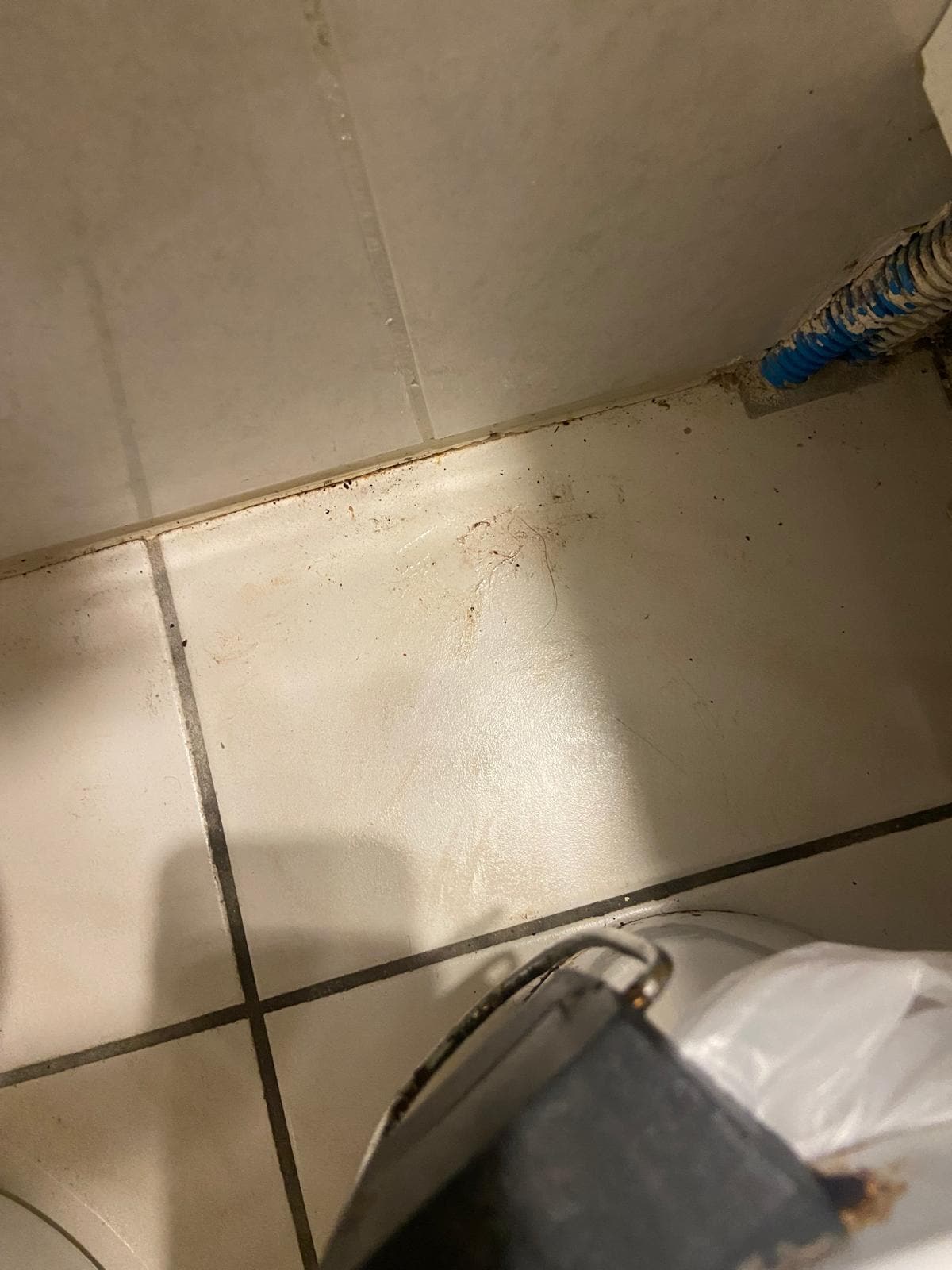 Hairs in the bathroom