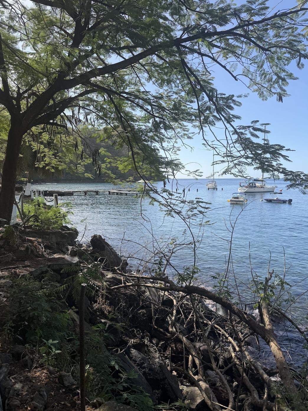 Wallilibou Bay- where Pirates of the Caribbean was filmed, great snorkeling, local bar, pretty cool