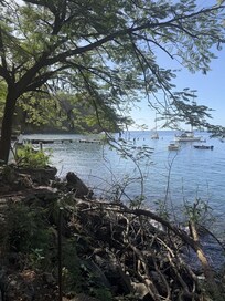 Wallilibou Bay- where Pirates of the Caribbean was filmed, great snorkeling, local bar, pretty cool