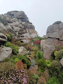 Botanic garden