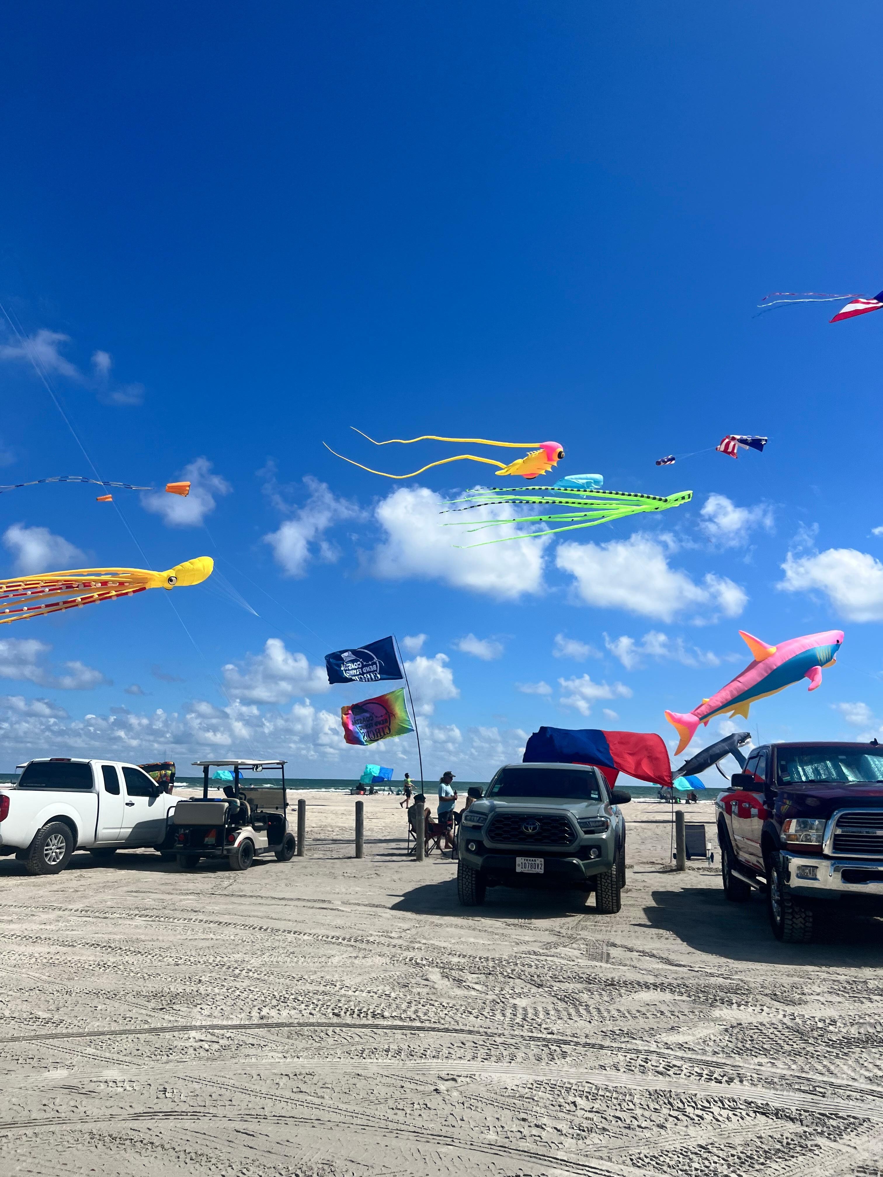 Colorful kites at the beach 