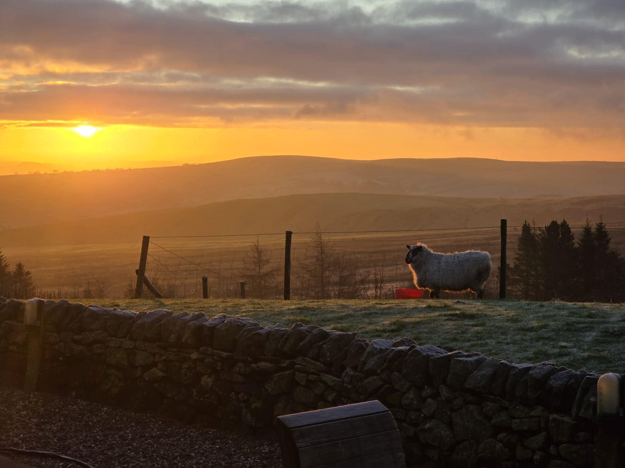 The property had beautiful sunrises in December 