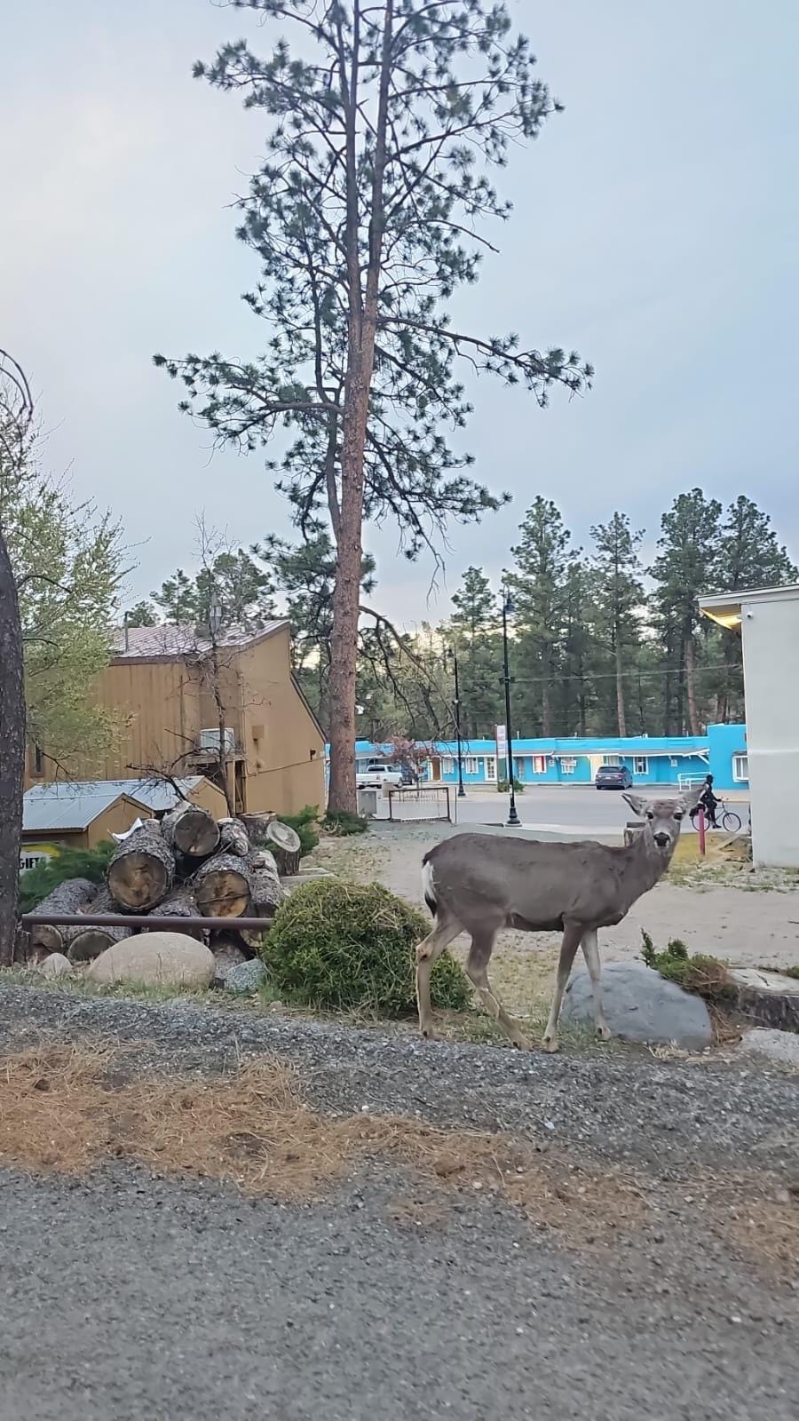 En las afueras del hotel