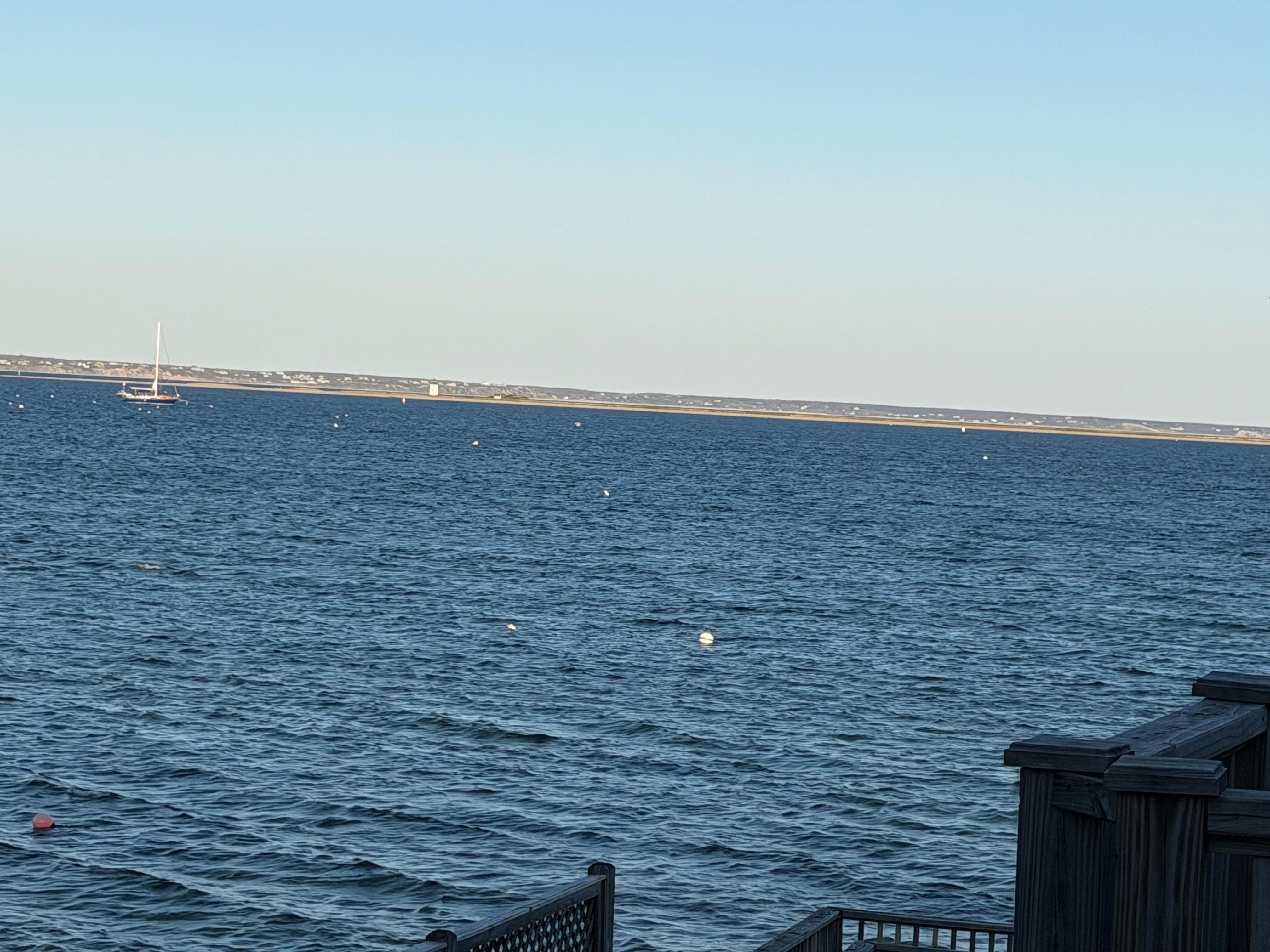 From the deck on a sunny day