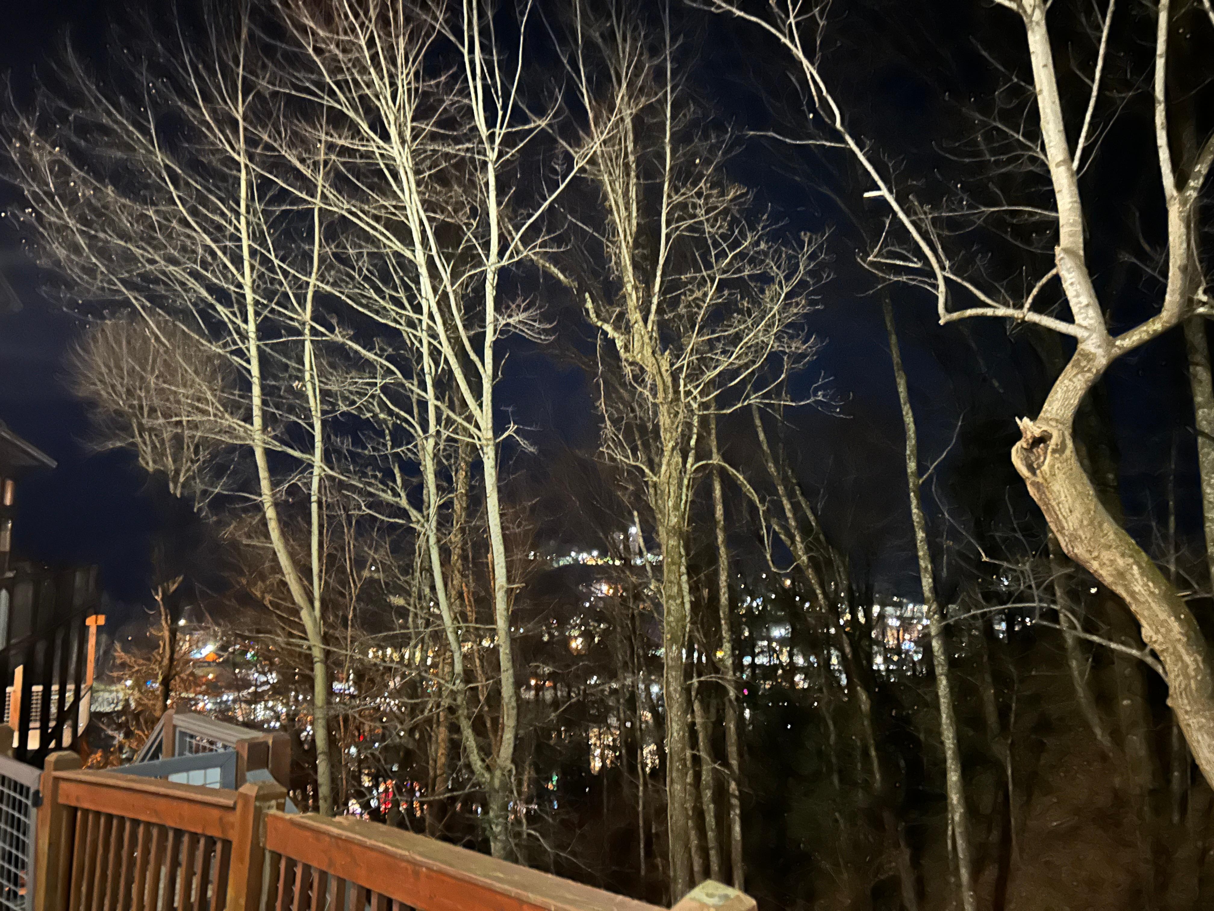 From the driveway, which is very steep!