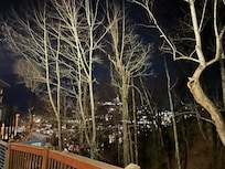 From the driveway, which is very steep!