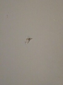 Closet door damage
