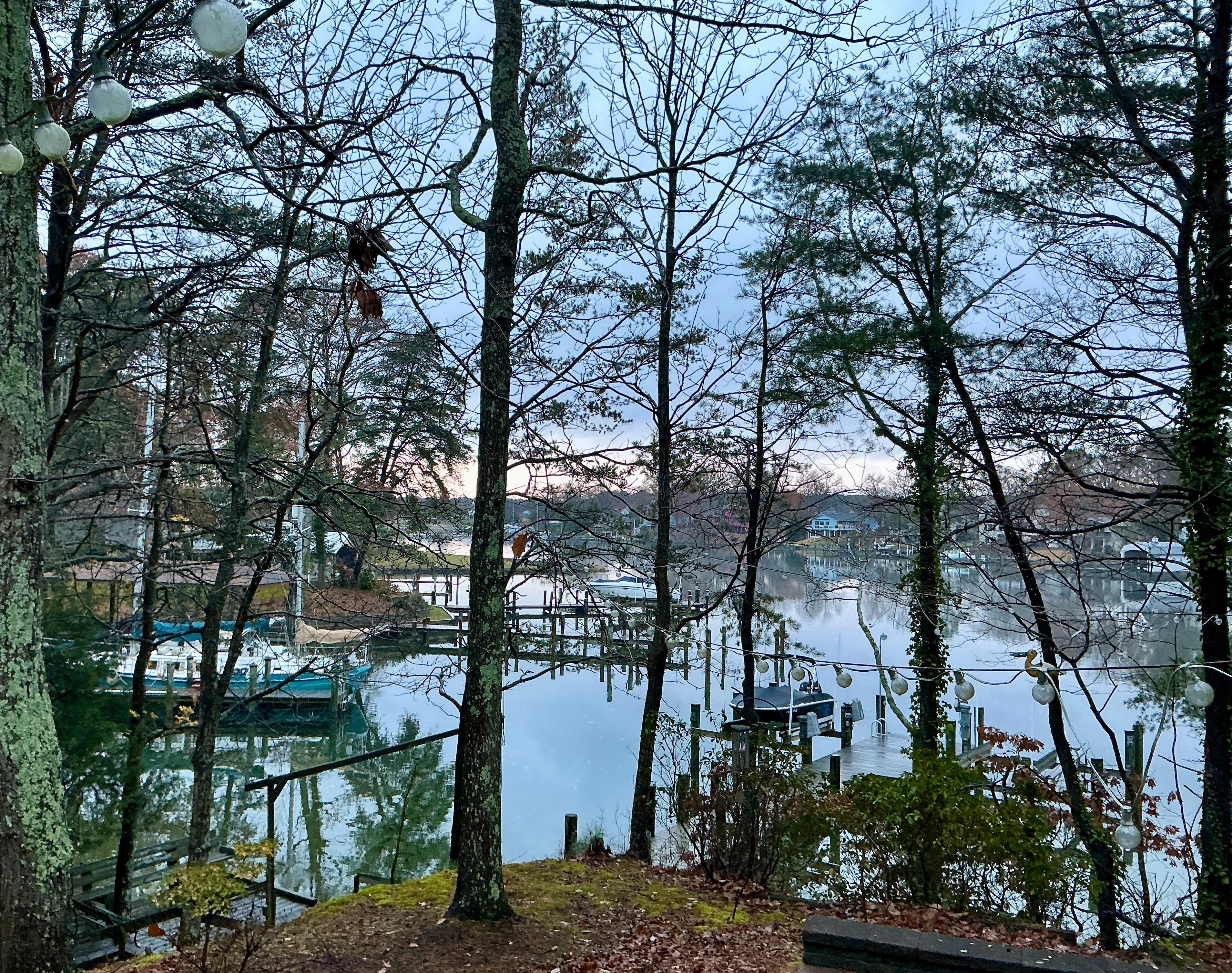 Early morning from the porch.