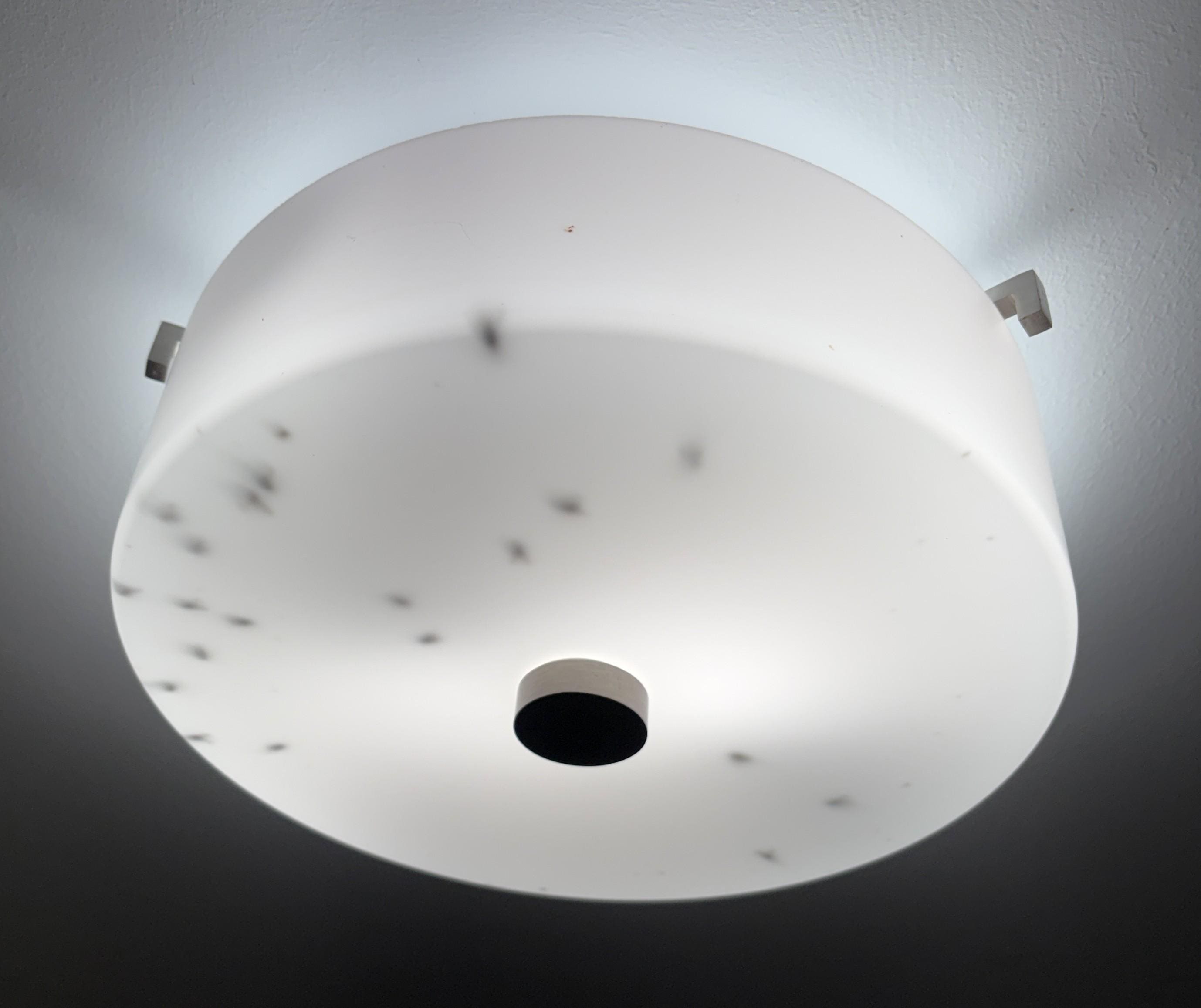 The dead bugs in the light fixture.