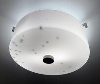 The dead bugs in the light fixture.