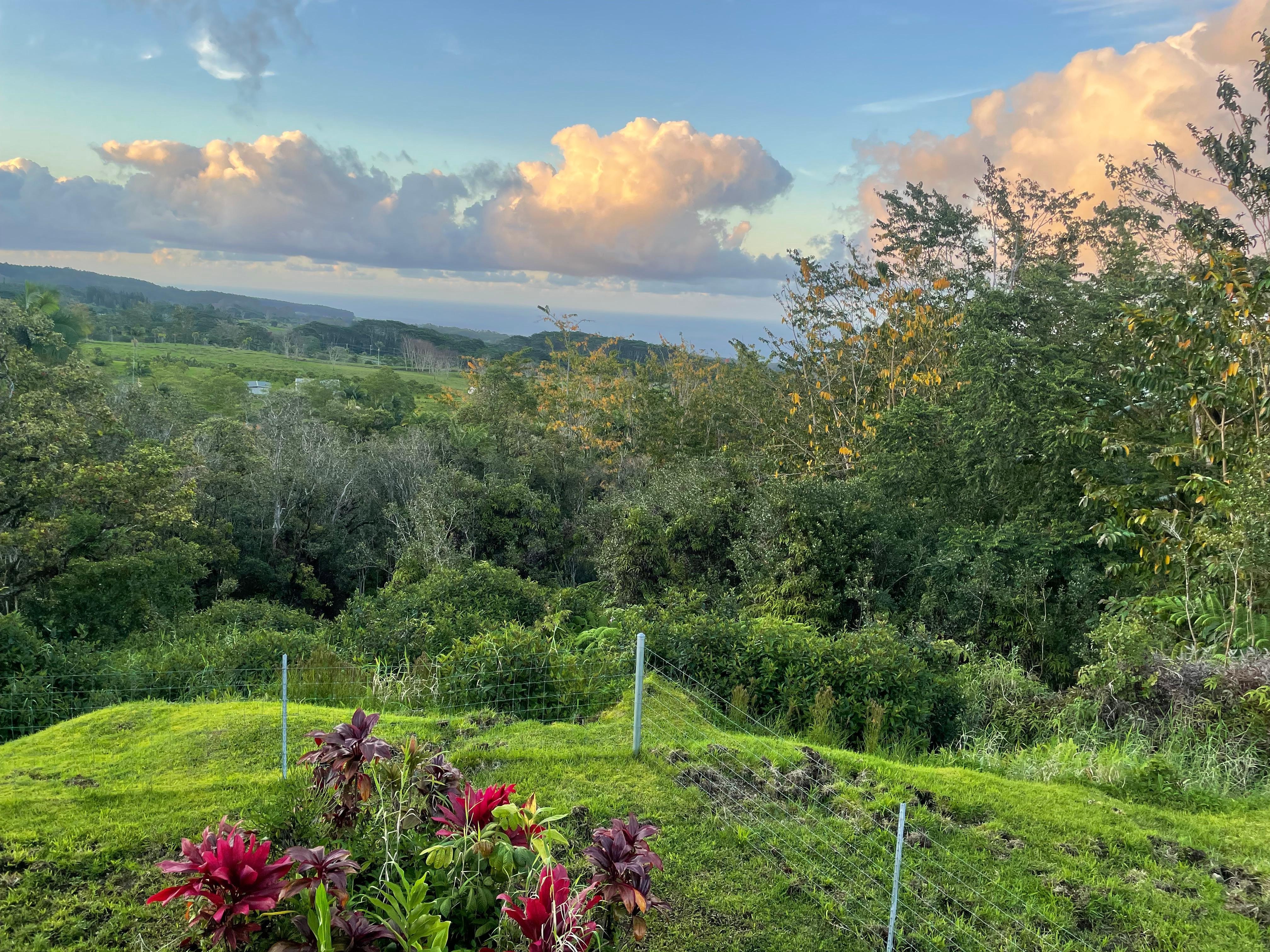 View from the upper porch