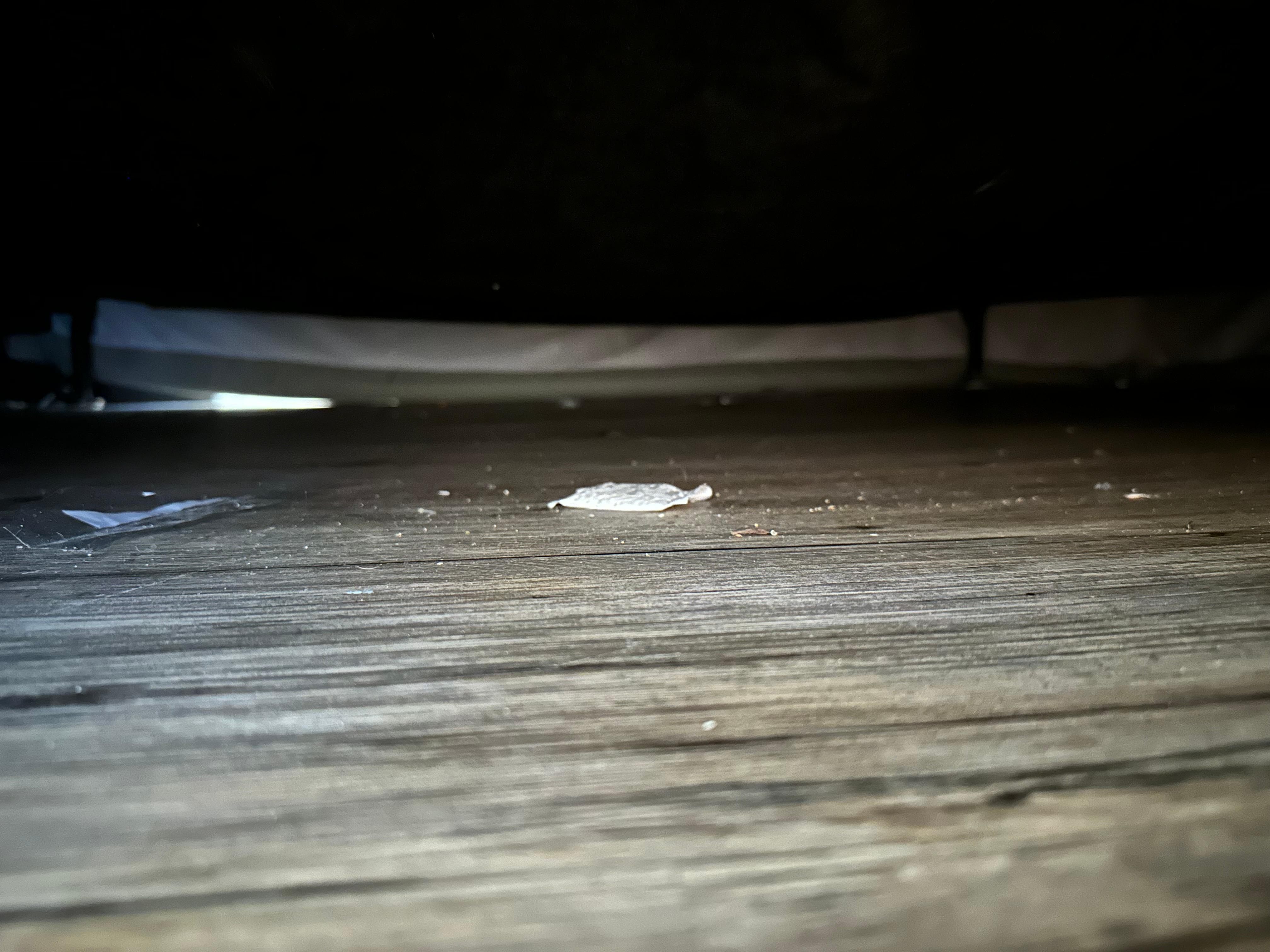Dirty floor under the bed.