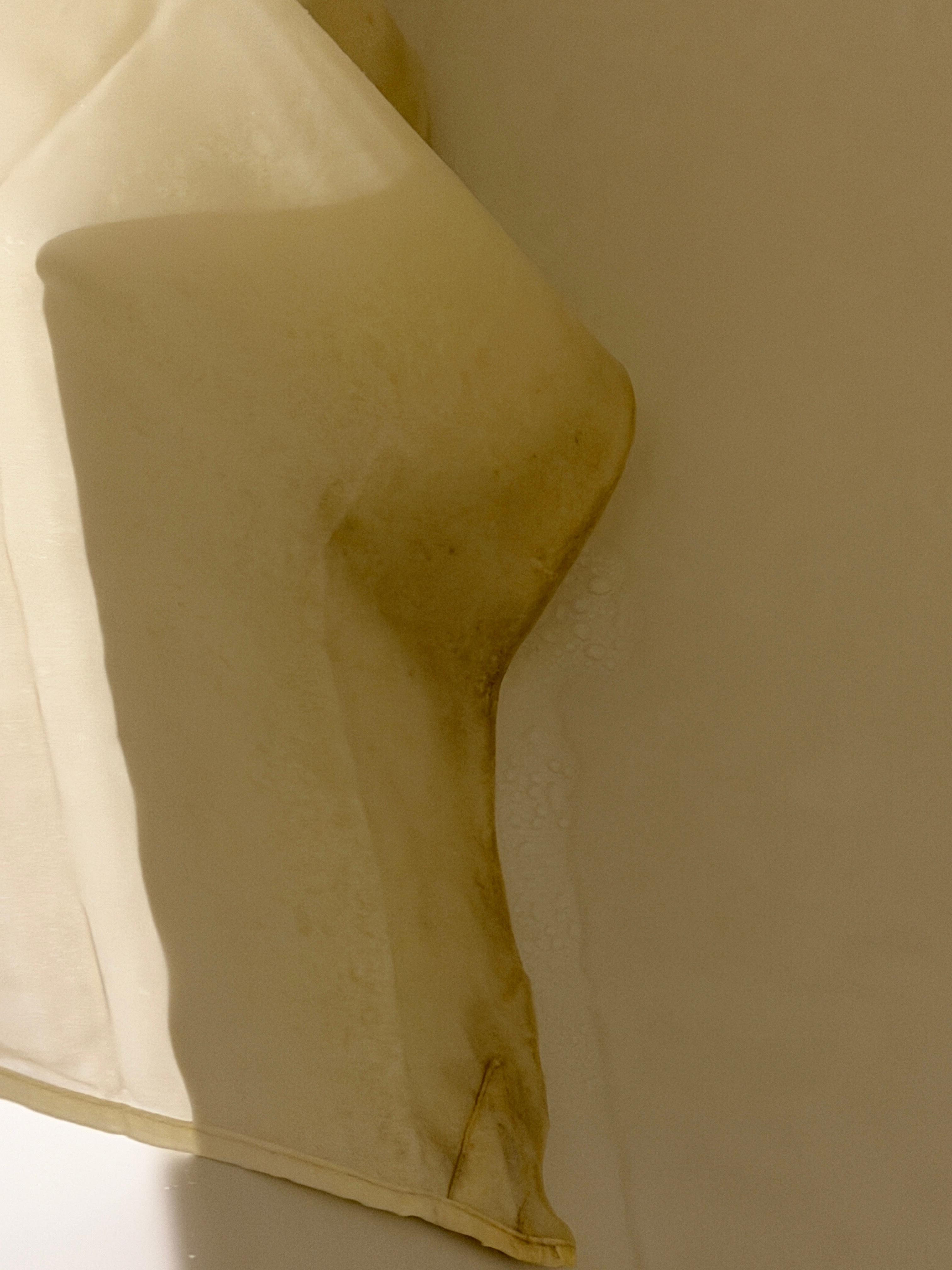 Dirty shower curtain 