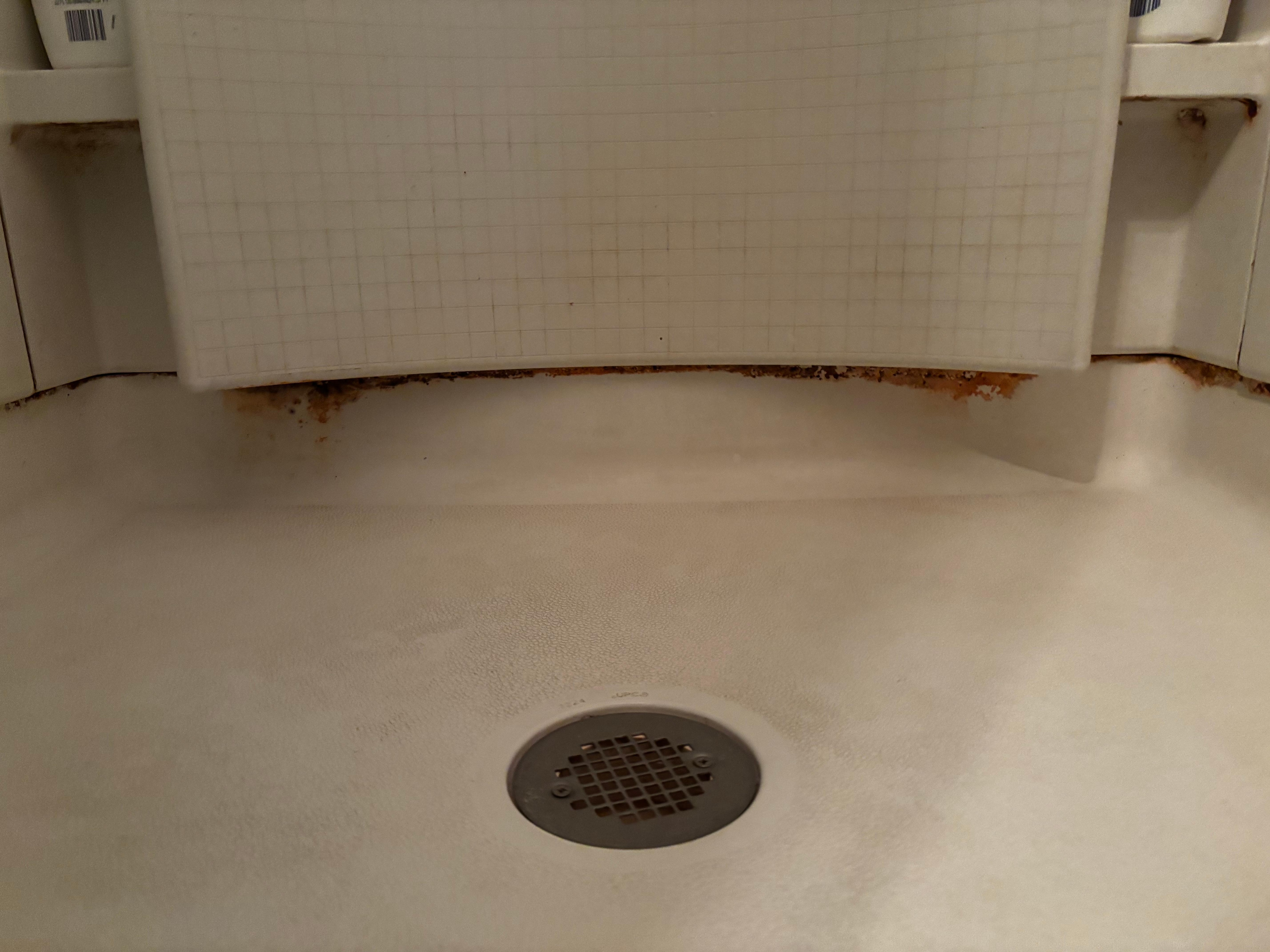 Shower floor full of mold