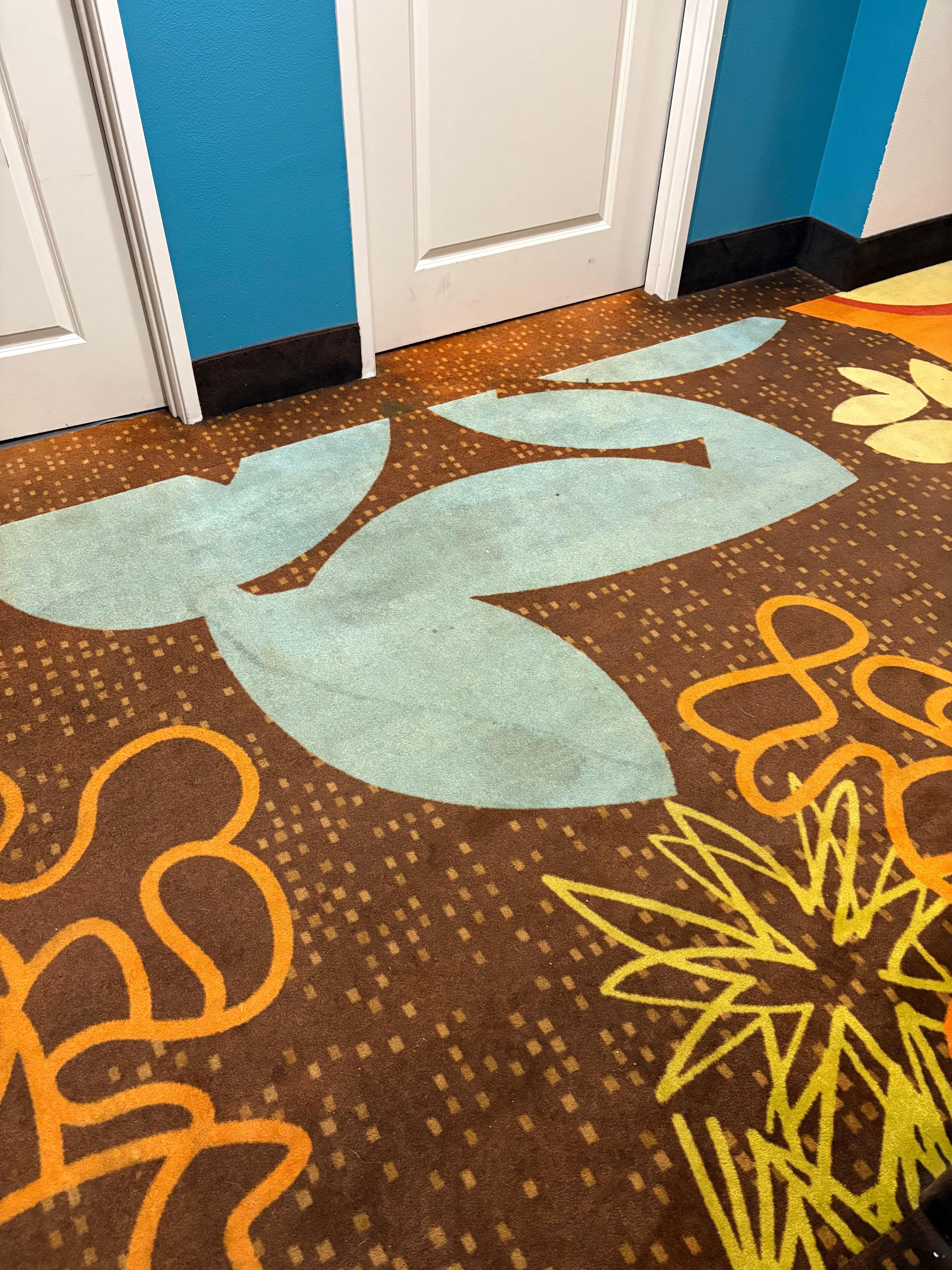 Hallway carpet throughout was stained and dirty.