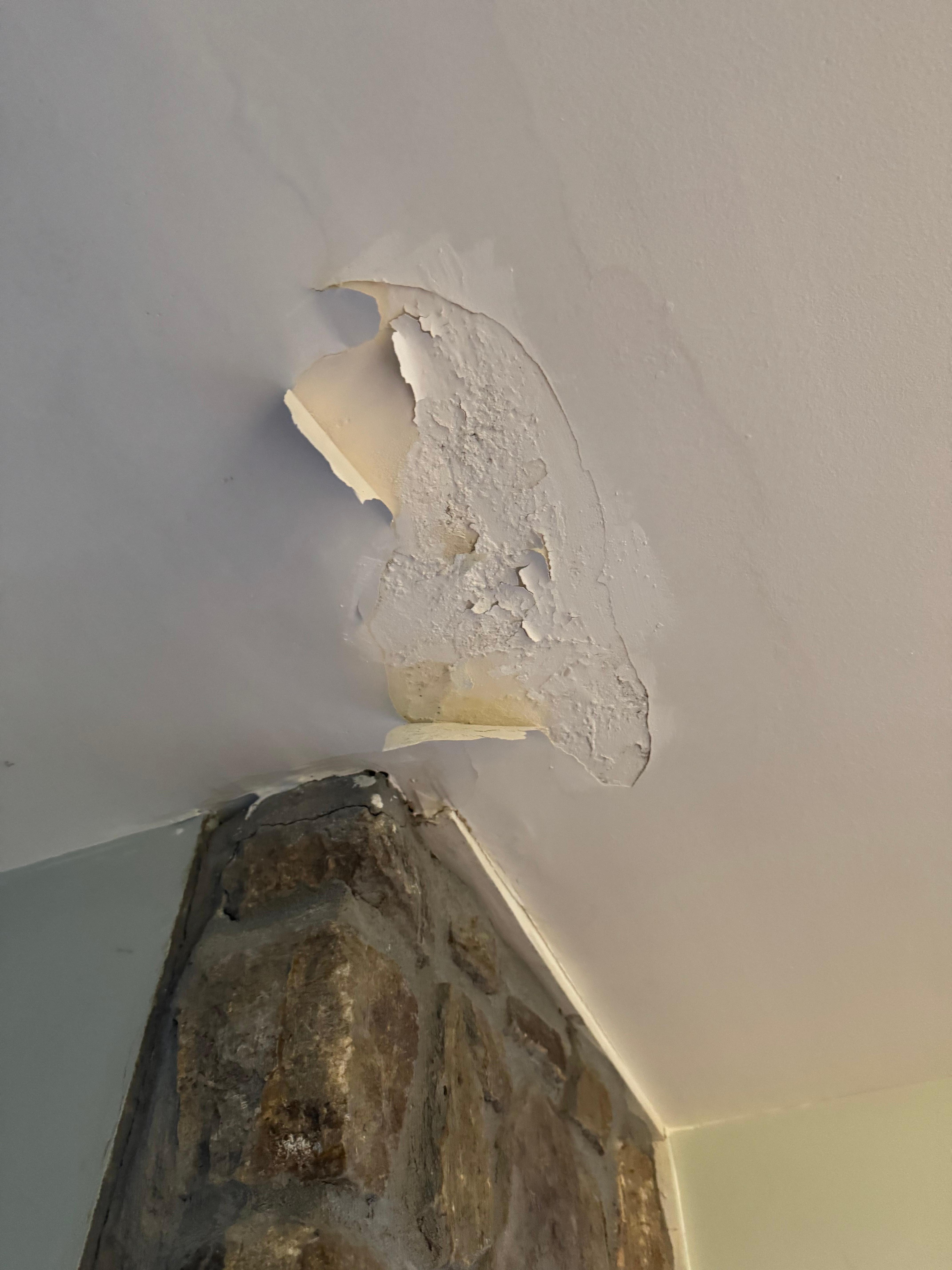 Paint polling in the hallway 