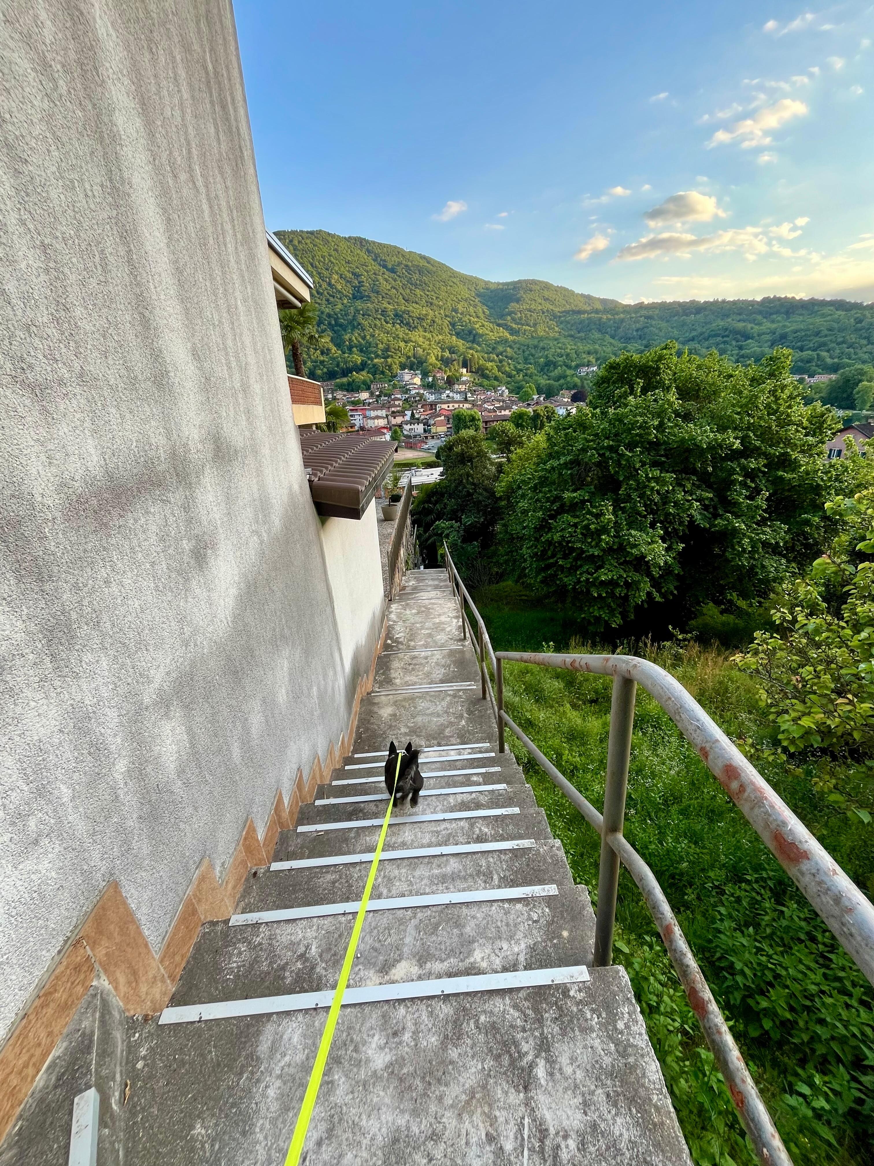 Private Steps down to your private residence. You can take the next step down to the pool, and even further down to a restaurant that is open 365 days a year. In case you show up on a Swiss holiday. 