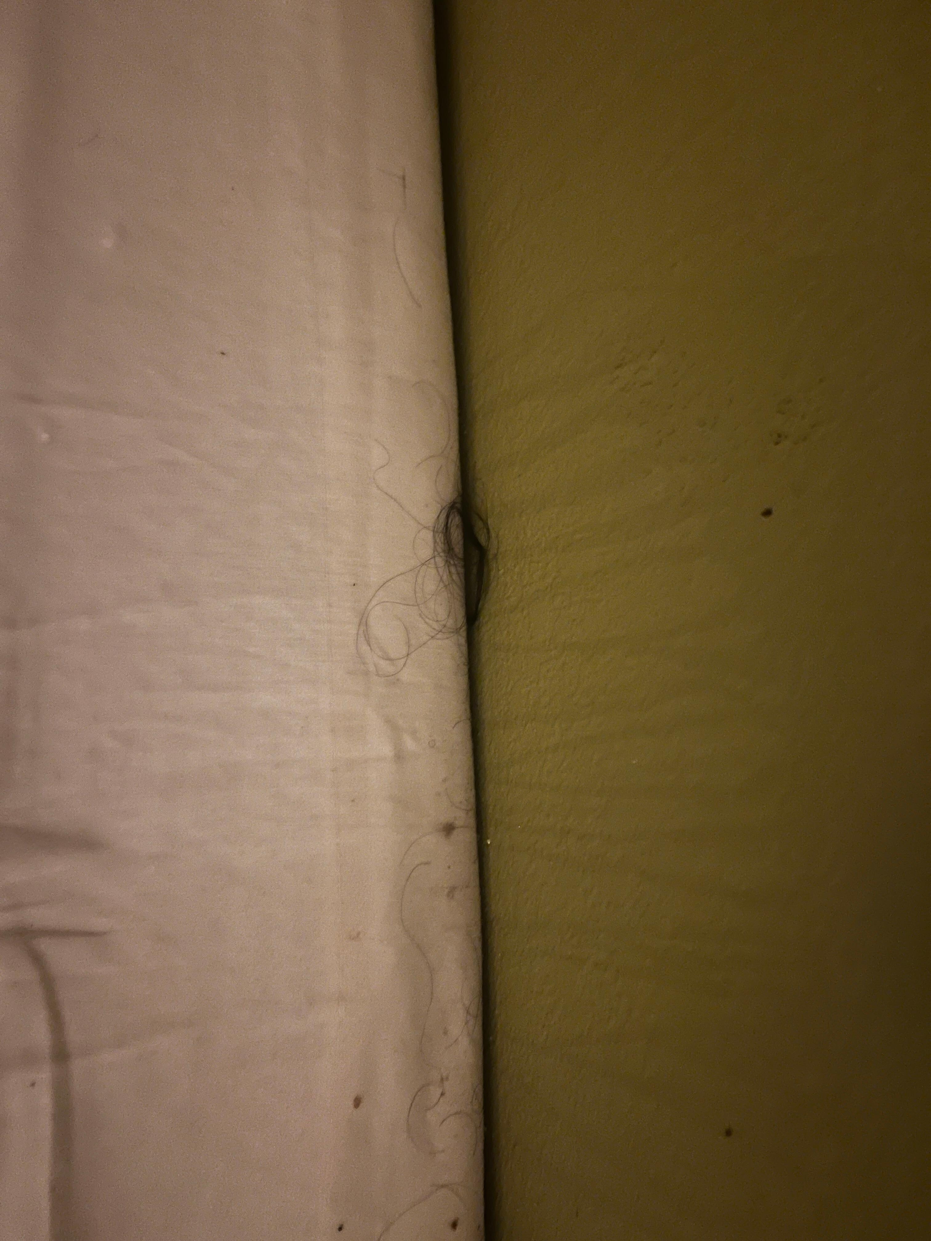 Ball of human hair between the wall and the box springs.