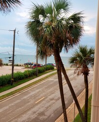 Beautiful view