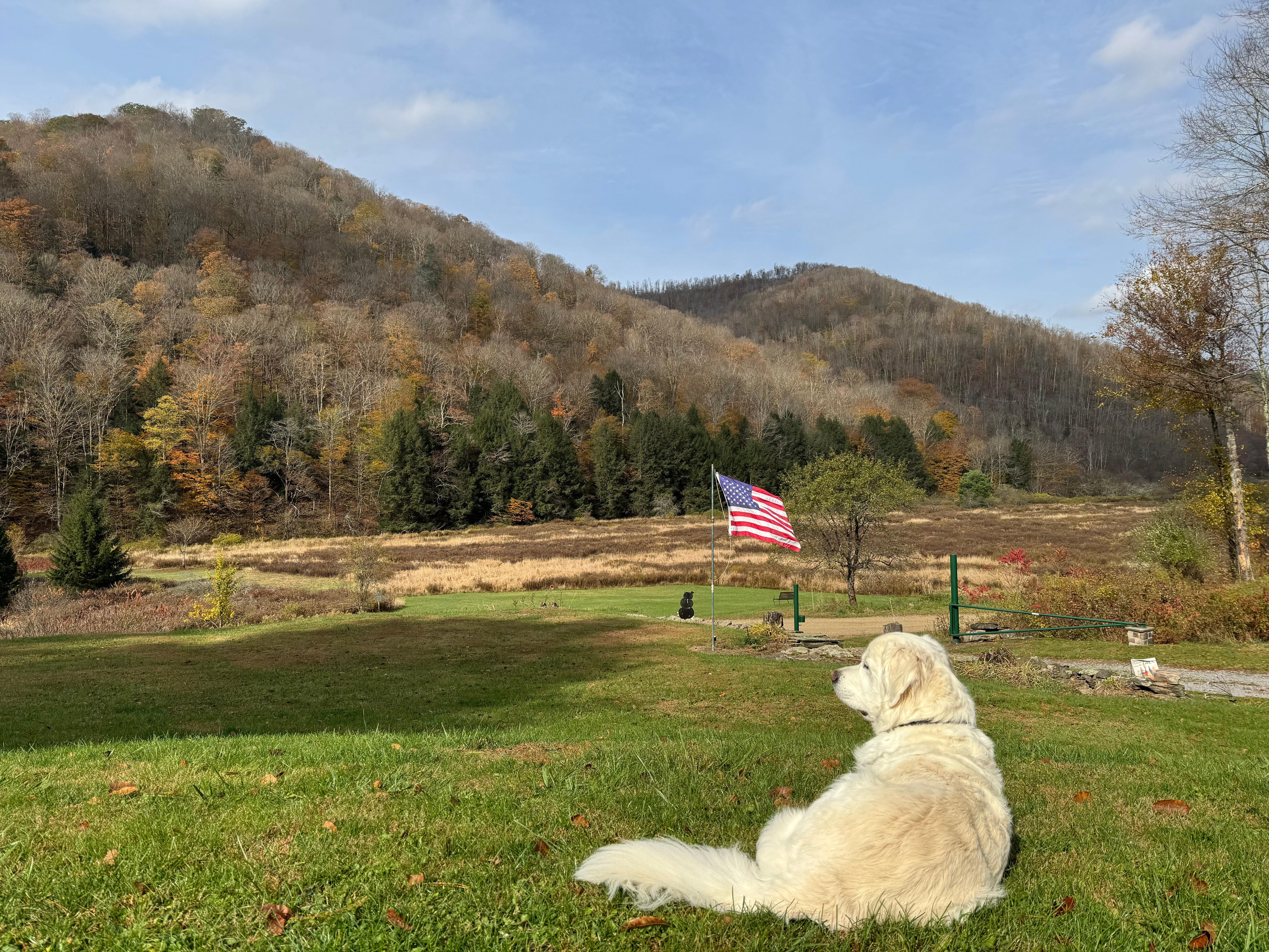 Enjoying the peace and quiet in the valley