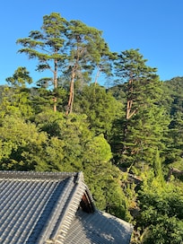 View from our 4th floor room